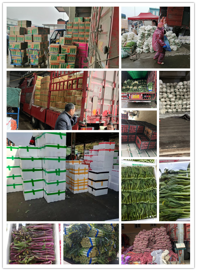 欧宝OB(中国集团)有限公司官网