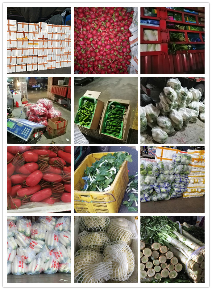 欧宝OB(中国集团)有限公司官网