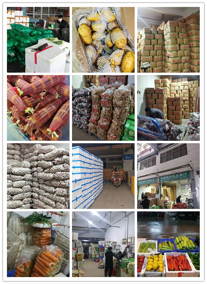 欧宝OB(中国集团)有限公司官网