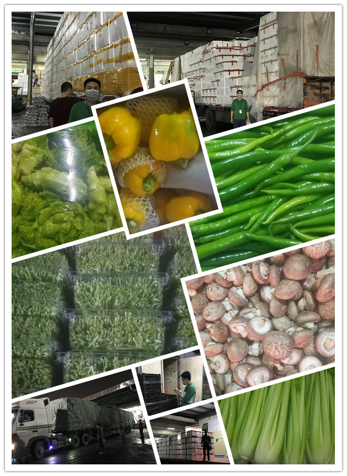 欧宝OB(中国集团)有限公司官网