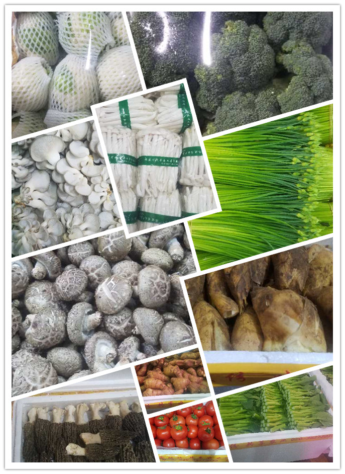 欧宝OB(中国集团)有限公司官网