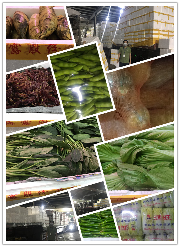 欧宝OB(中国集团)有限公司官网