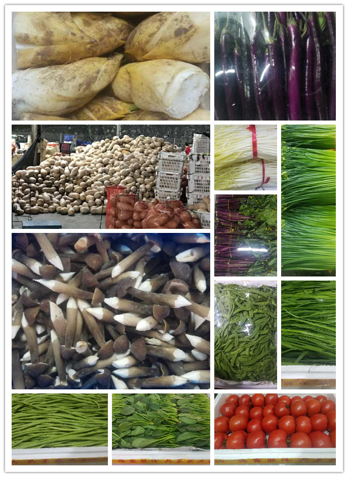 欧宝OB(中国集团)有限公司官网