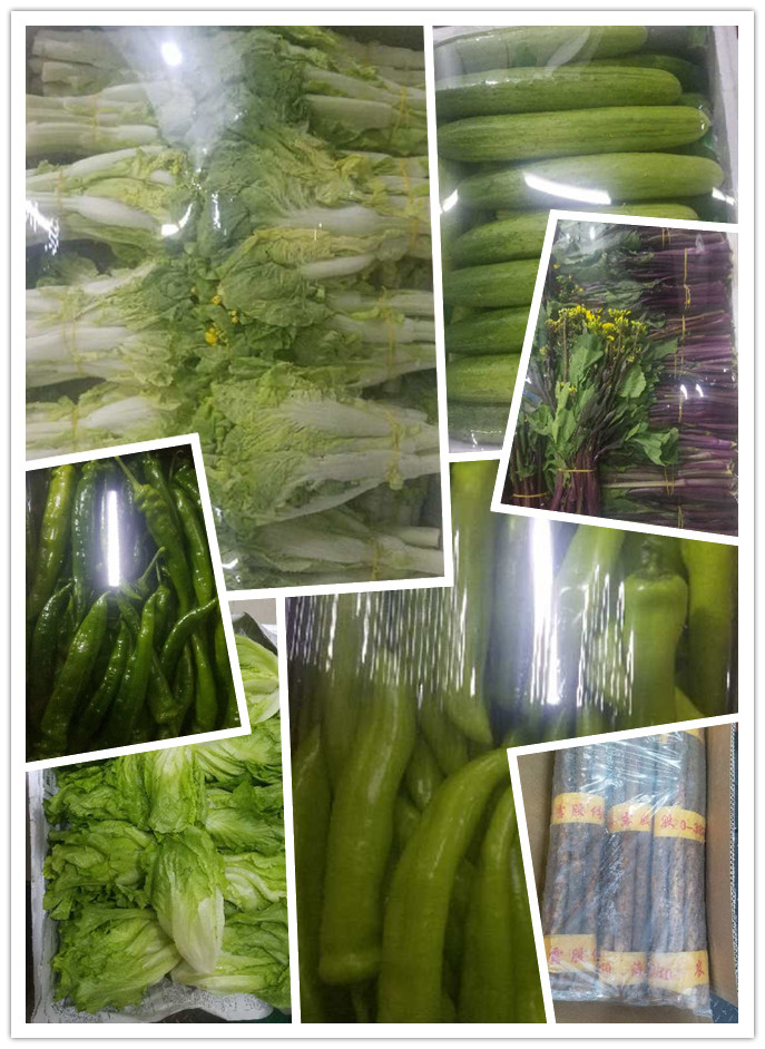 欧宝OB(中国集团)有限公司官网