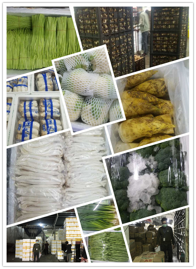 欧宝OB(中国集团)有限公司官网