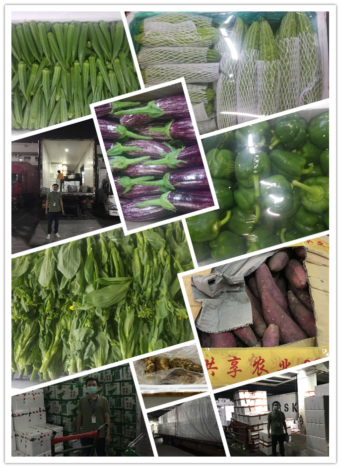 欧宝OB(中国集团)有限公司官网