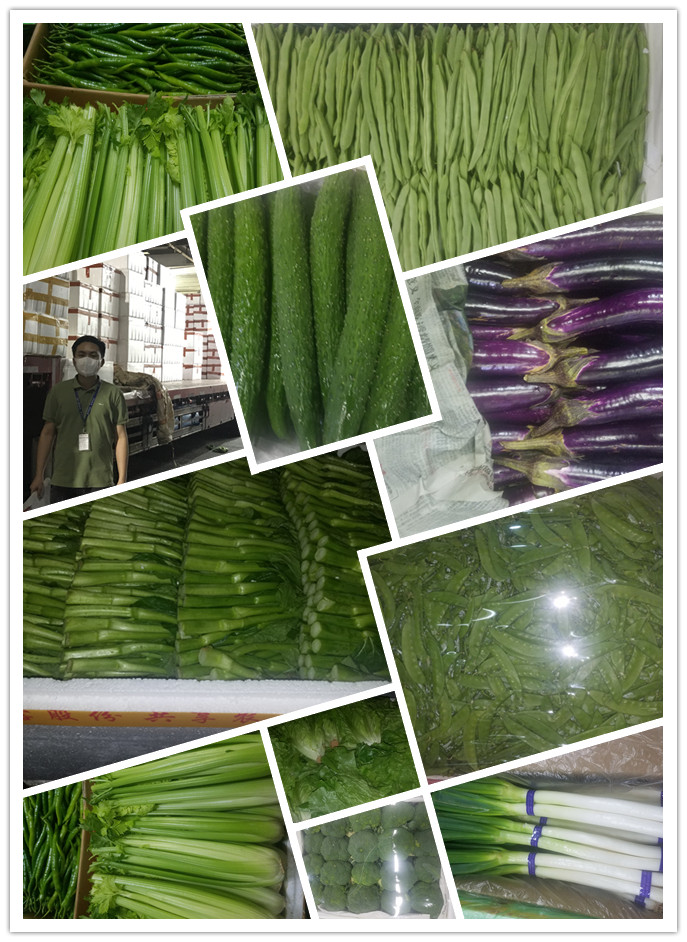 欧宝OB(中国集团)有限公司官网