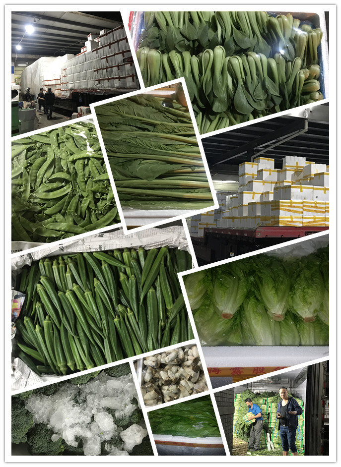 欧宝OB(中国集团)有限公司官网