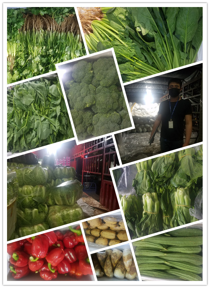 欧宝OB(中国集团)有限公司官网