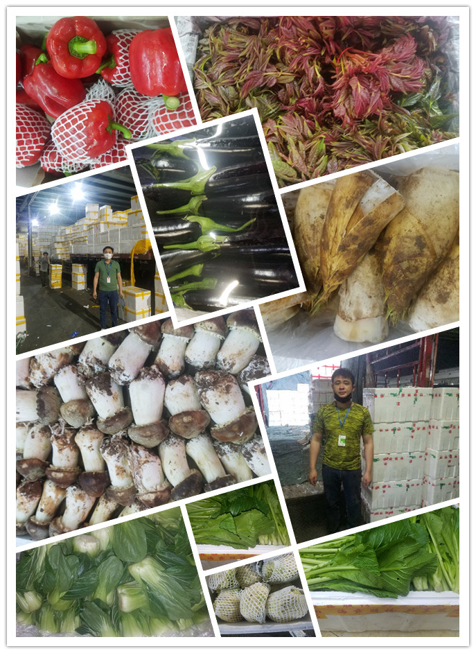 欧宝OB(中国集团)有限公司官网