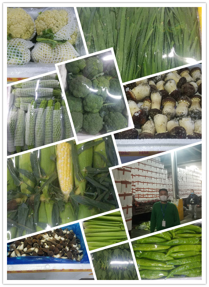 欧宝OB(中国集团)有限公司官网