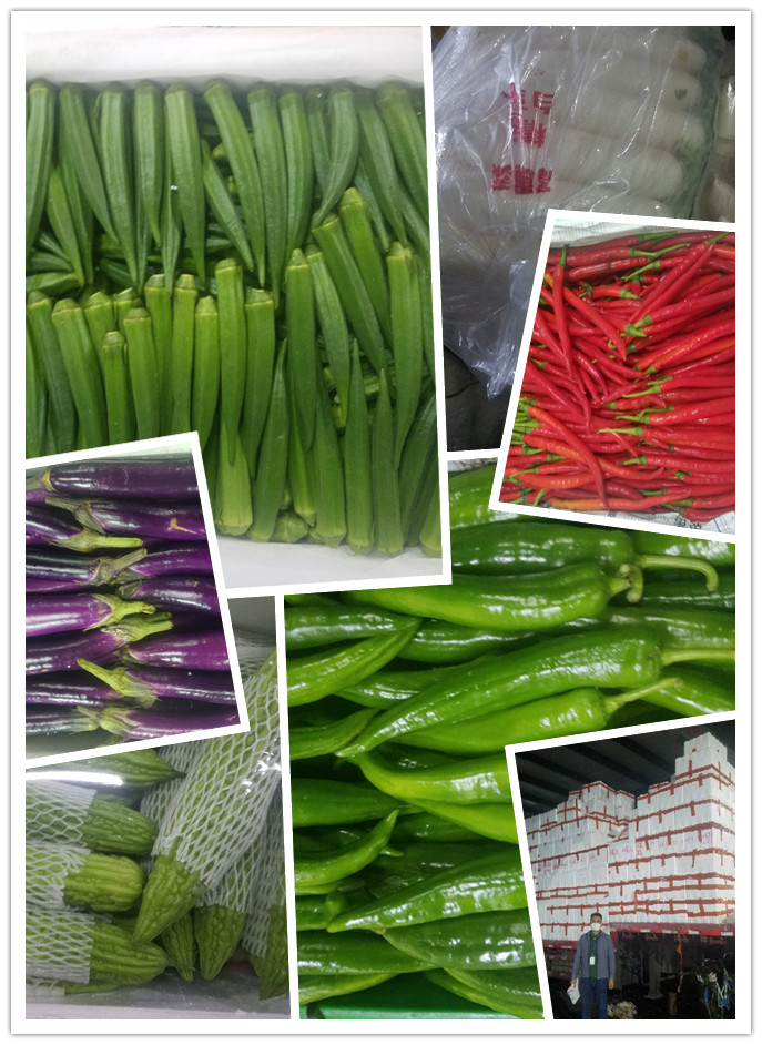 欧宝OB(中国集团)有限公司官网