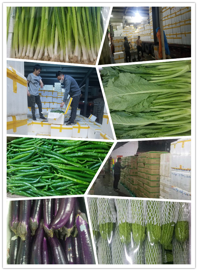 欧宝OB(中国集团)有限公司官网