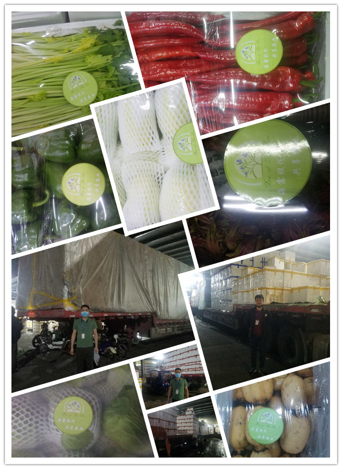 欧宝OB(中国集团)有限公司官网