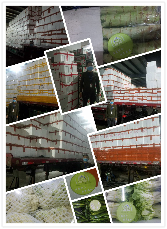 欧宝OB(中国集团)有限公司官网