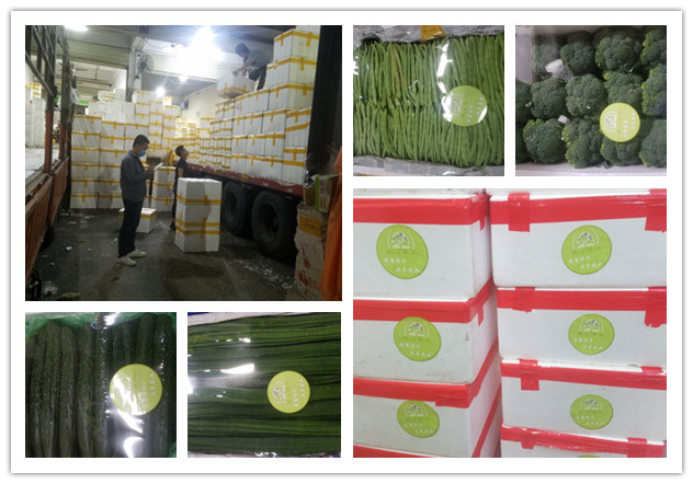 欧宝OB(中国集团)有限公司官网