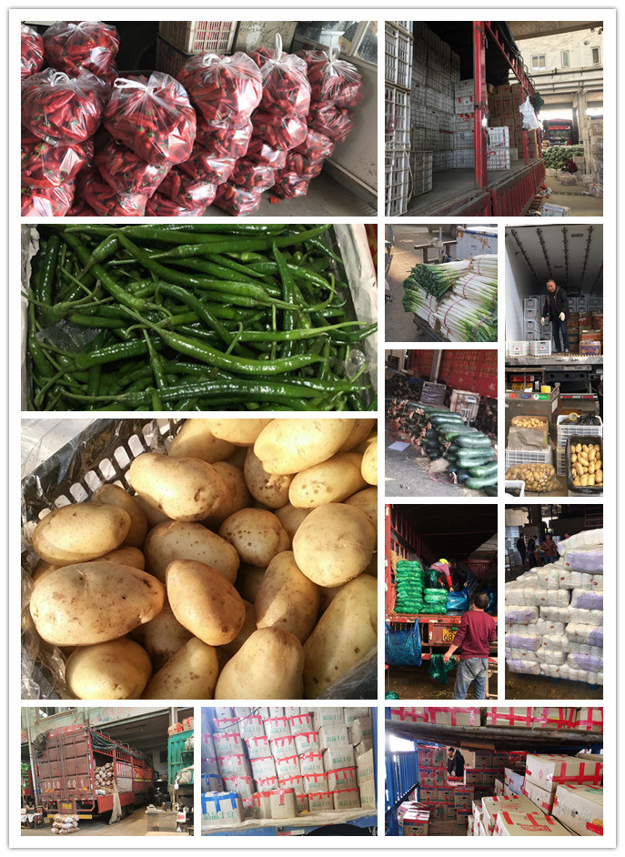 欧宝OB(中国集团)有限公司官网