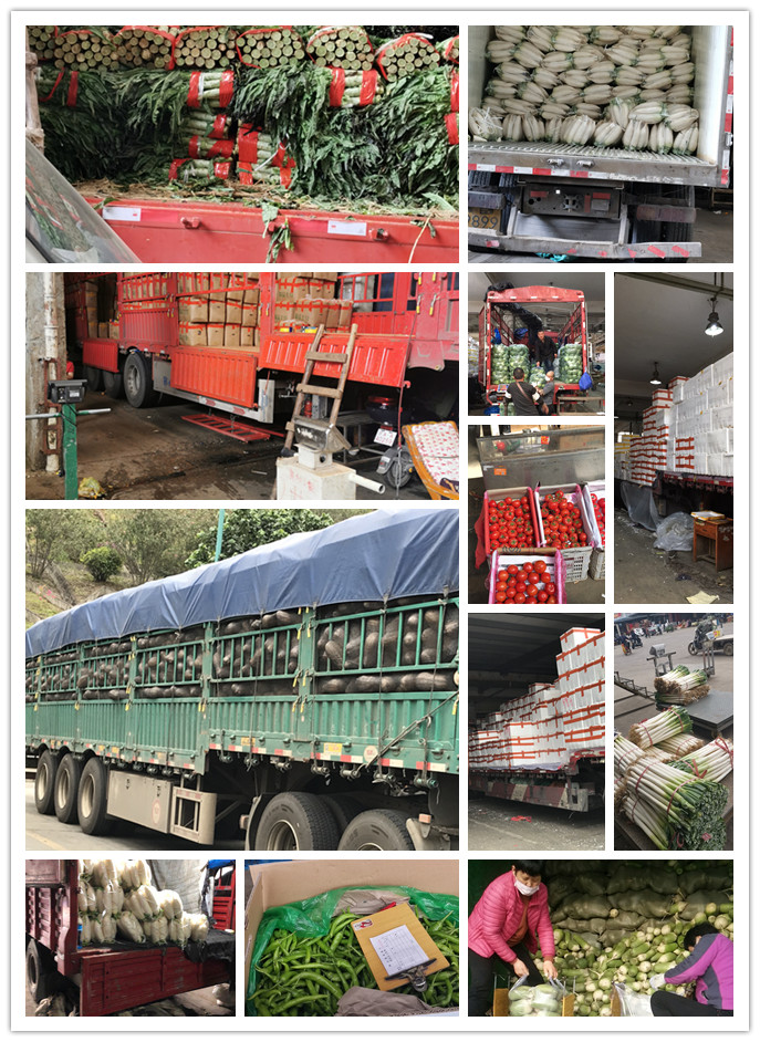 欧宝OB(中国集团)有限公司官网