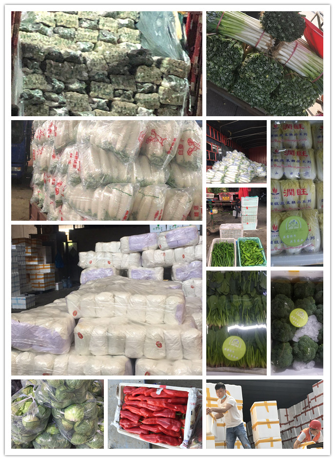 欧宝OB(中国集团)有限公司官网