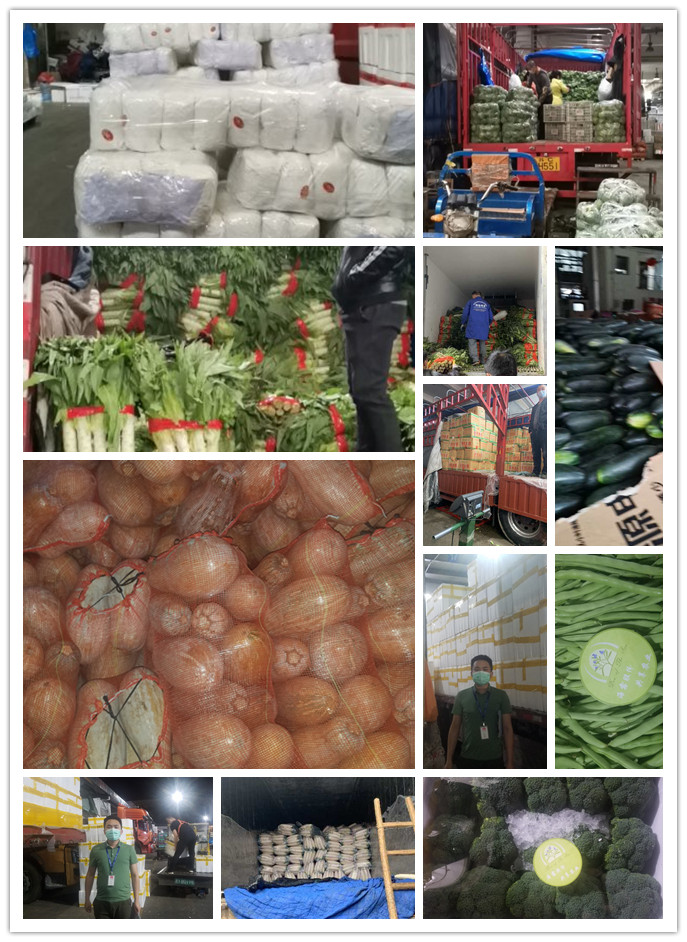 欧宝OB(中国集团)有限公司官网