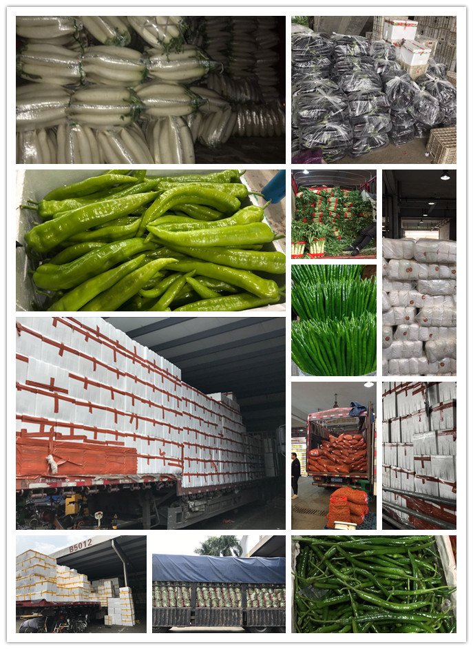 欧宝OB(中国集团)有限公司官网