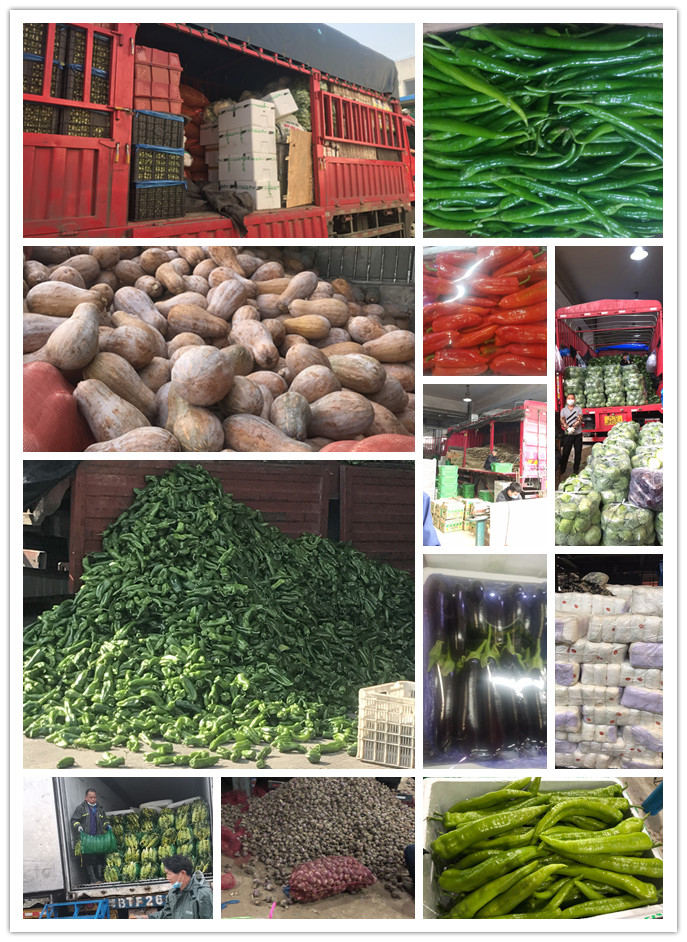 欧宝OB(中国集团)有限公司官网