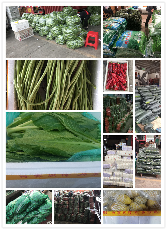 欧宝OB(中国集团)有限公司官网