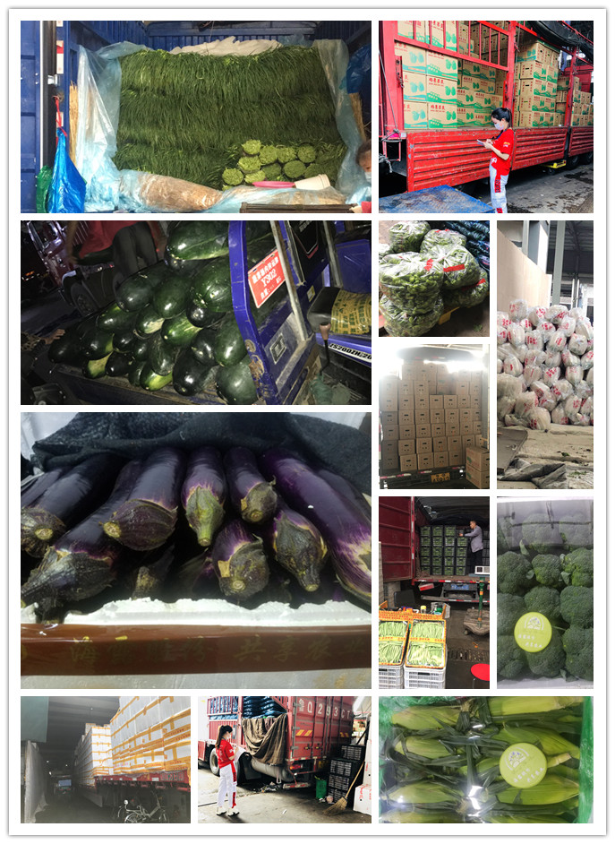 欧宝OB(中国集团)有限公司官网