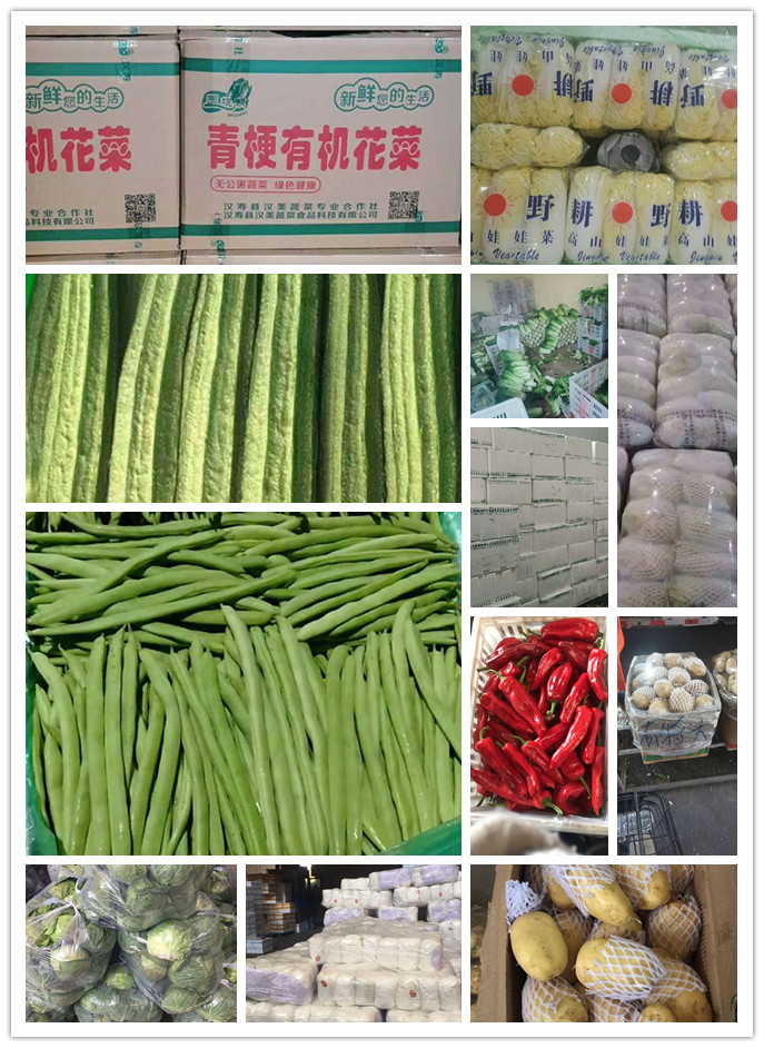 欧宝OB(中国集团)有限公司官网