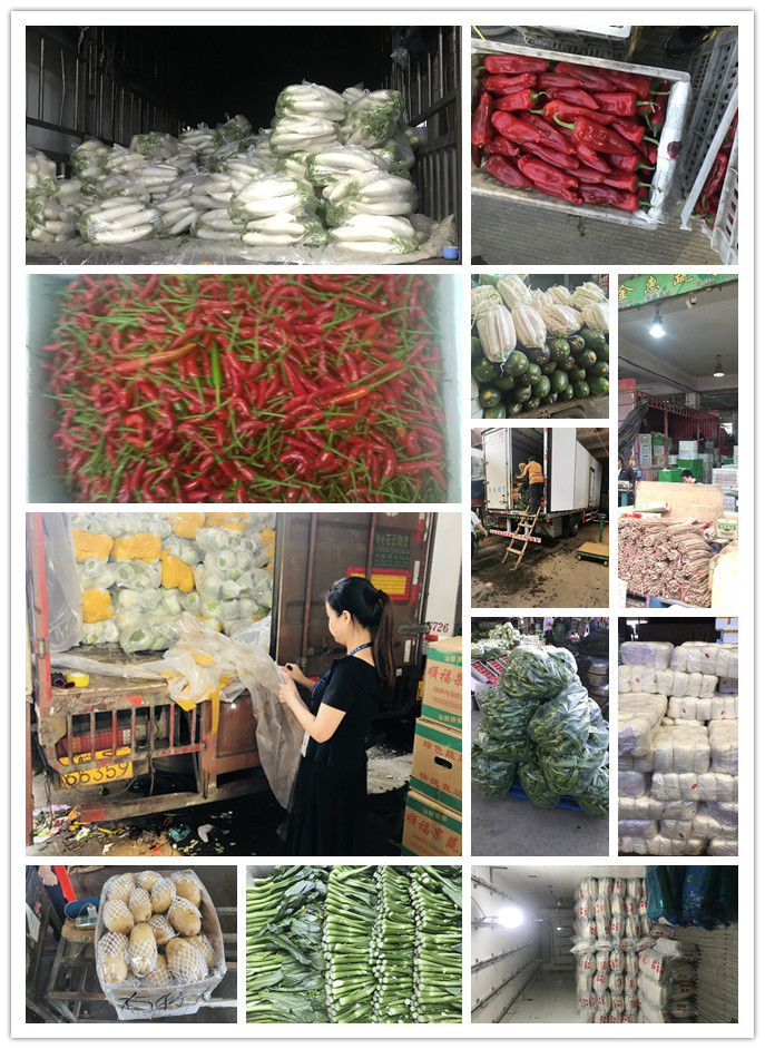 欧宝OB(中国集团)有限公司官网