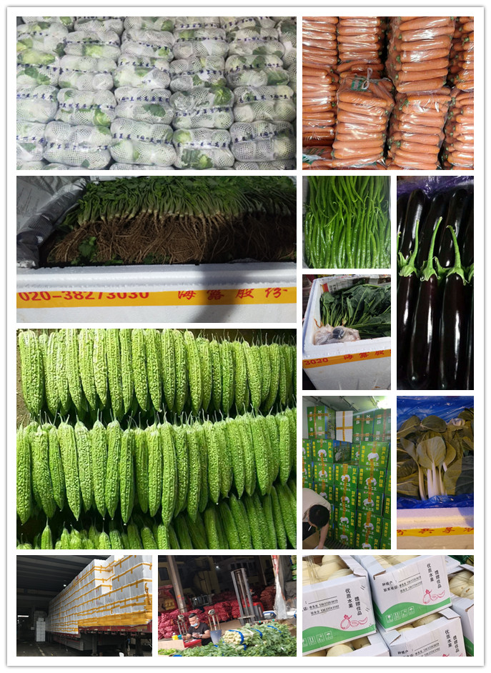 欧宝OB(中国集团)有限公司官网