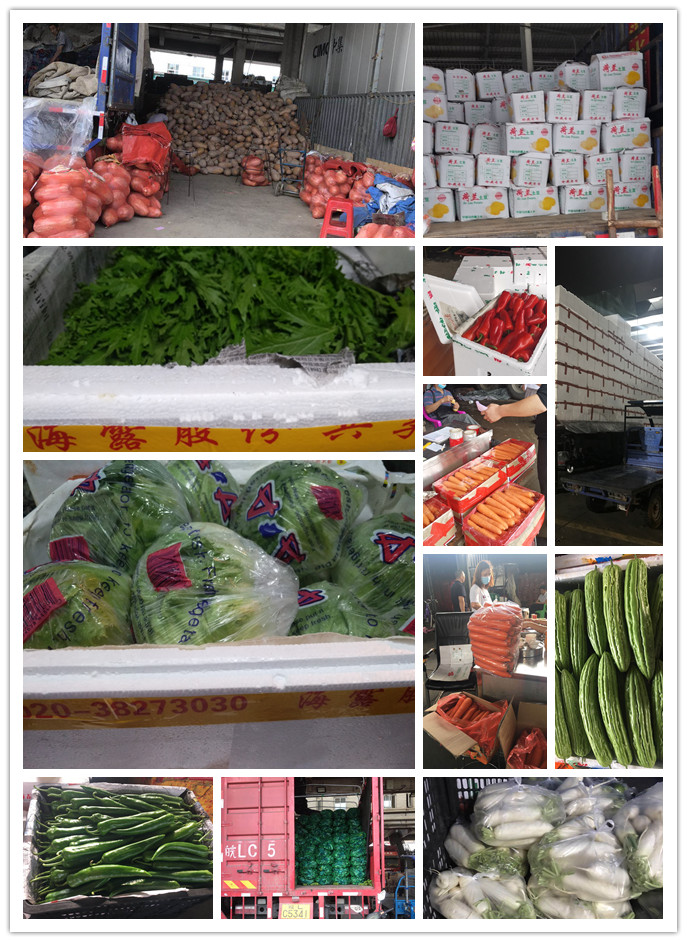 欧宝OB(中国集团)有限公司官网