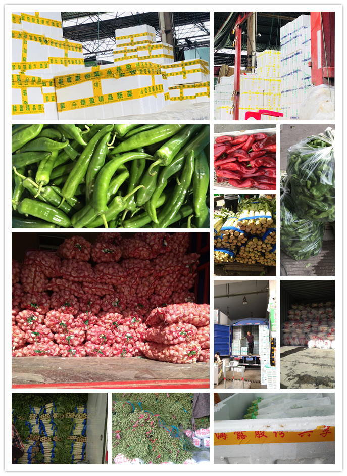 欧宝OB(中国集团)有限公司官网