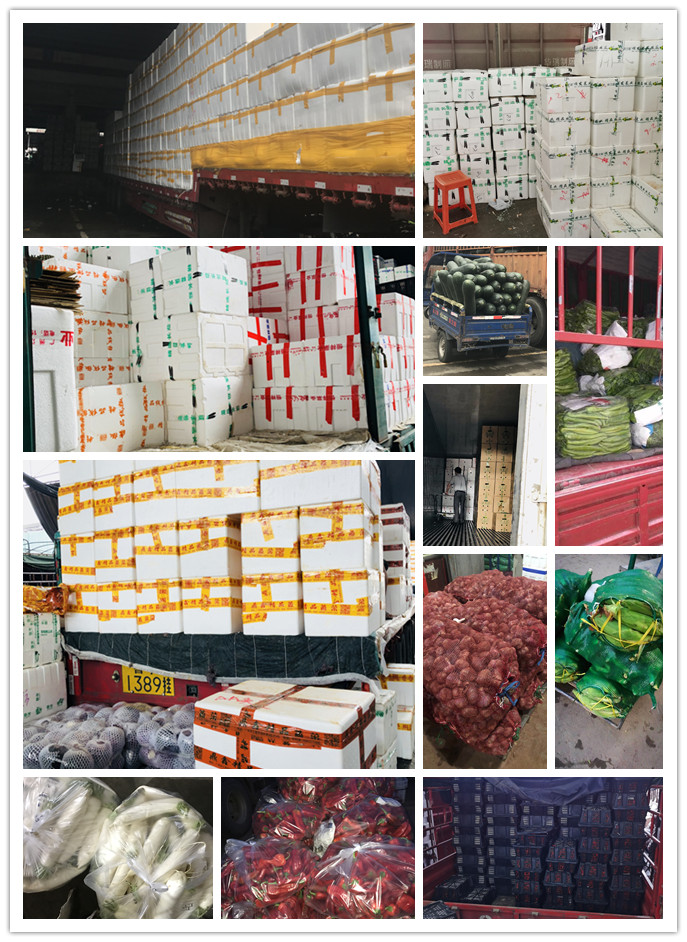 欧宝OB(中国集团)有限公司官网