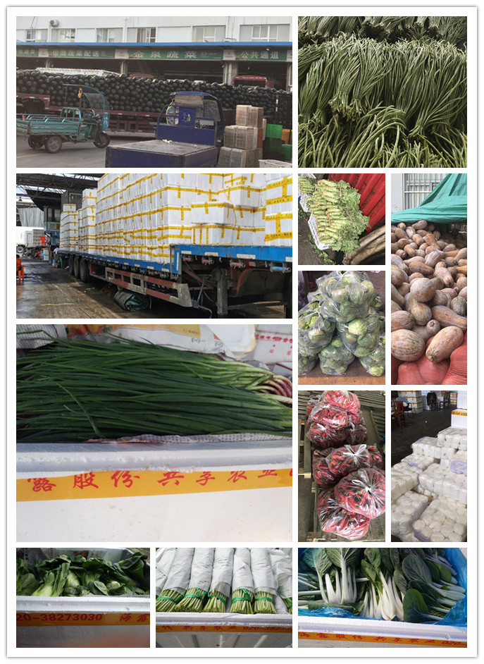 欧宝OB(中国集团)有限公司官网