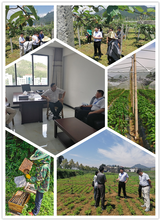 欧宝OB(中国集团)有限公司官网