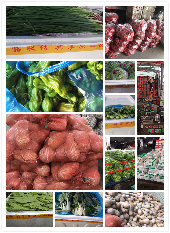 欧宝OB(中国集团)有限公司官网