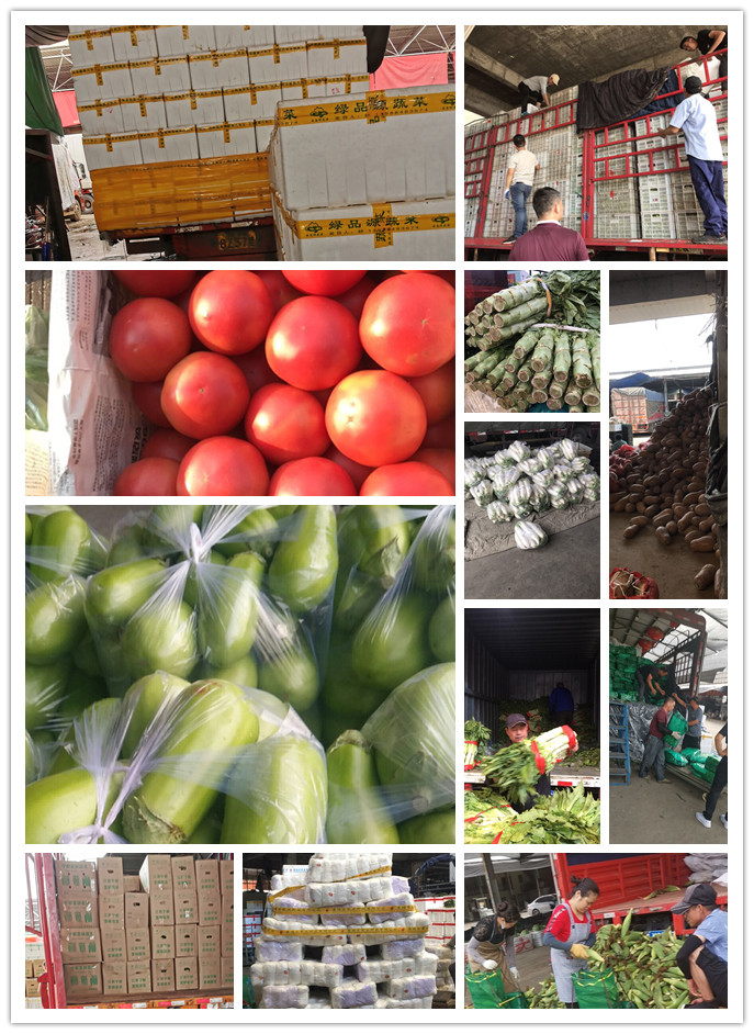 欧宝OB(中国集团)有限公司官网