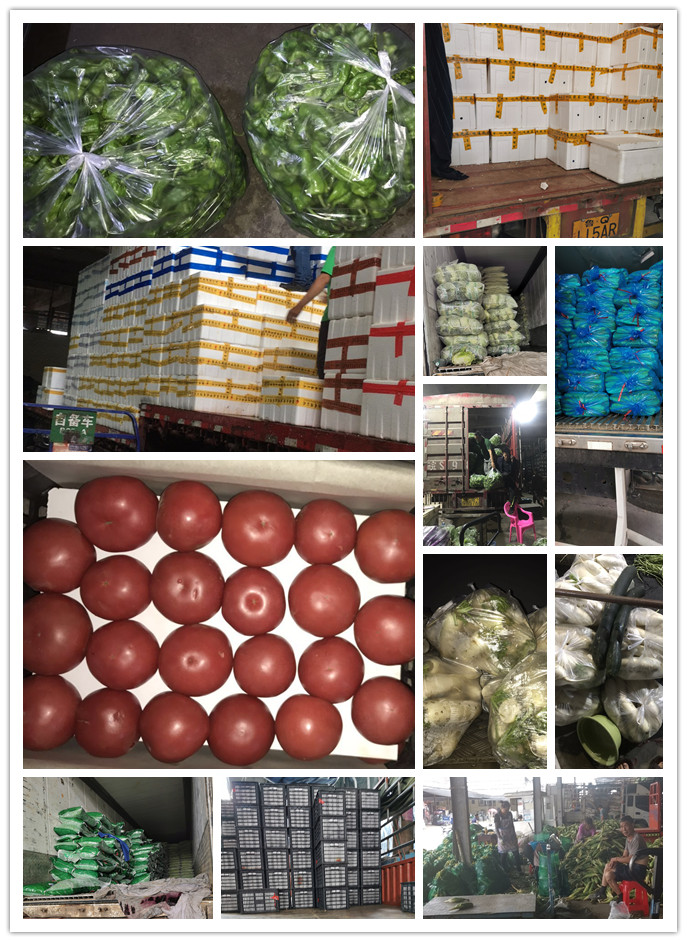 欧宝OB(中国集团)有限公司官网