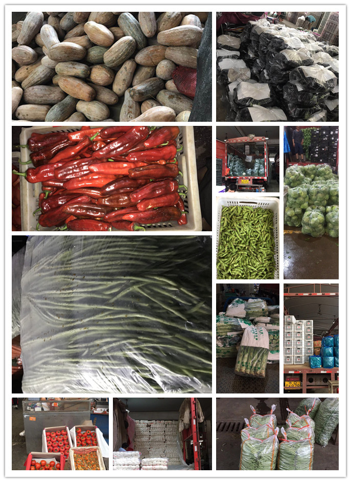 欧宝OB(中国集团)有限公司官网