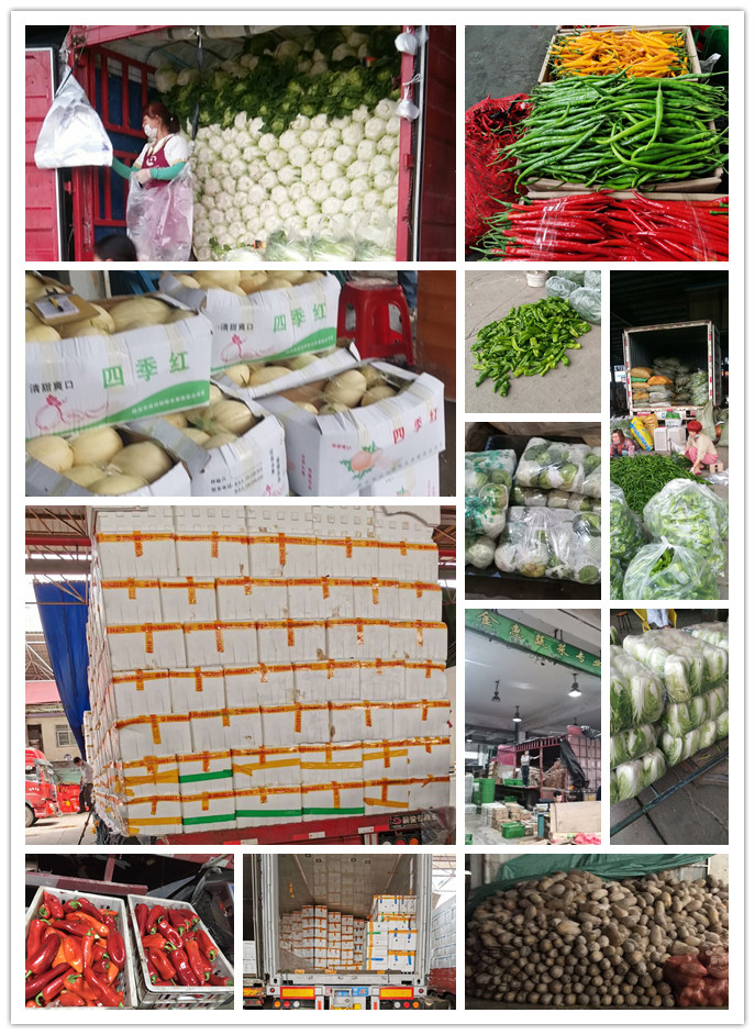 欧宝OB(中国集团)有限公司官网