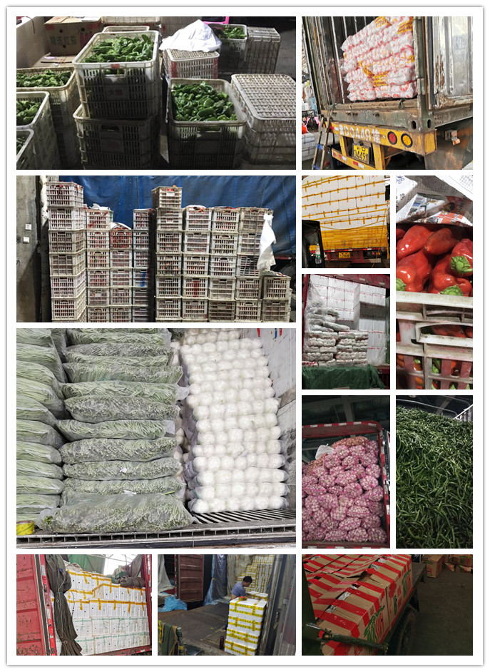 欧宝OB(中国集团)有限公司官网