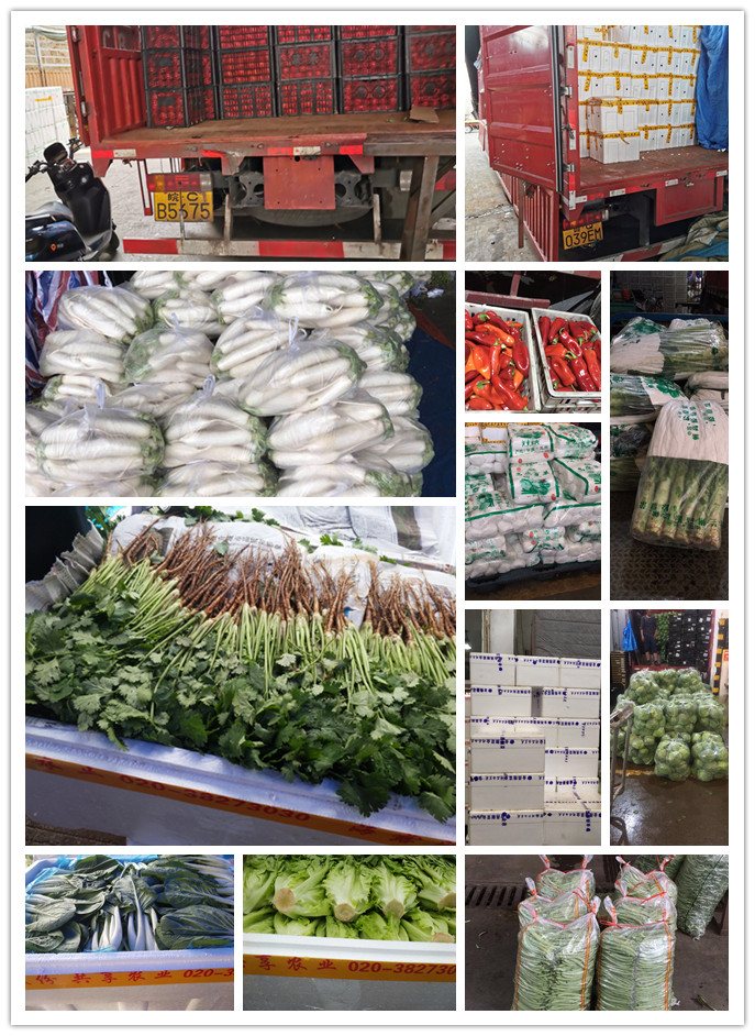 欧宝OB(中国集团)有限公司官网