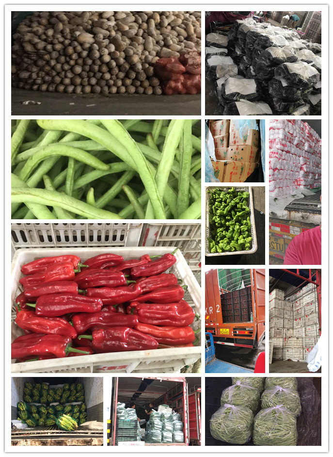 欧宝OB(中国集团)有限公司官网