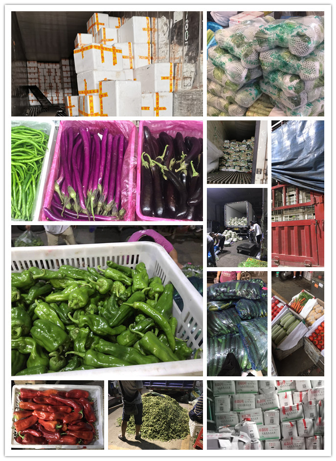 欧宝OB(中国集团)有限公司官网