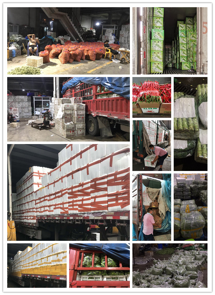 欧宝OB(中国集团)有限公司官网