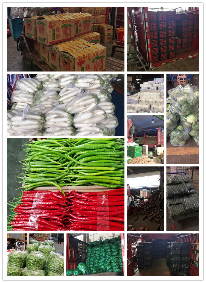 欧宝OB(中国集团)有限公司官网