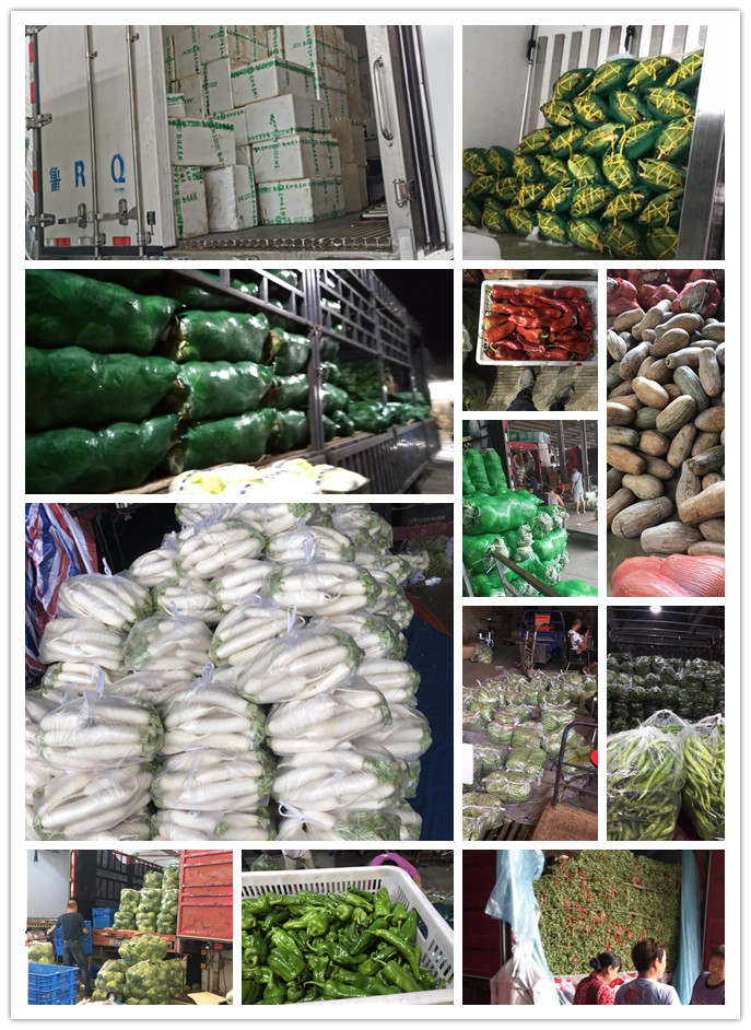 欧宝OB(中国集团)有限公司官网