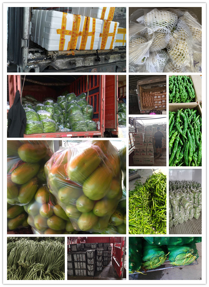 欧宝OB(中国集团)有限公司官网