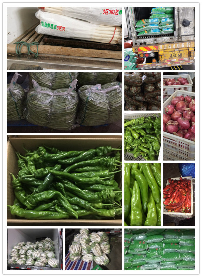 欧宝OB(中国集团)有限公司官网